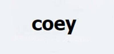 COEY品牌官方网站